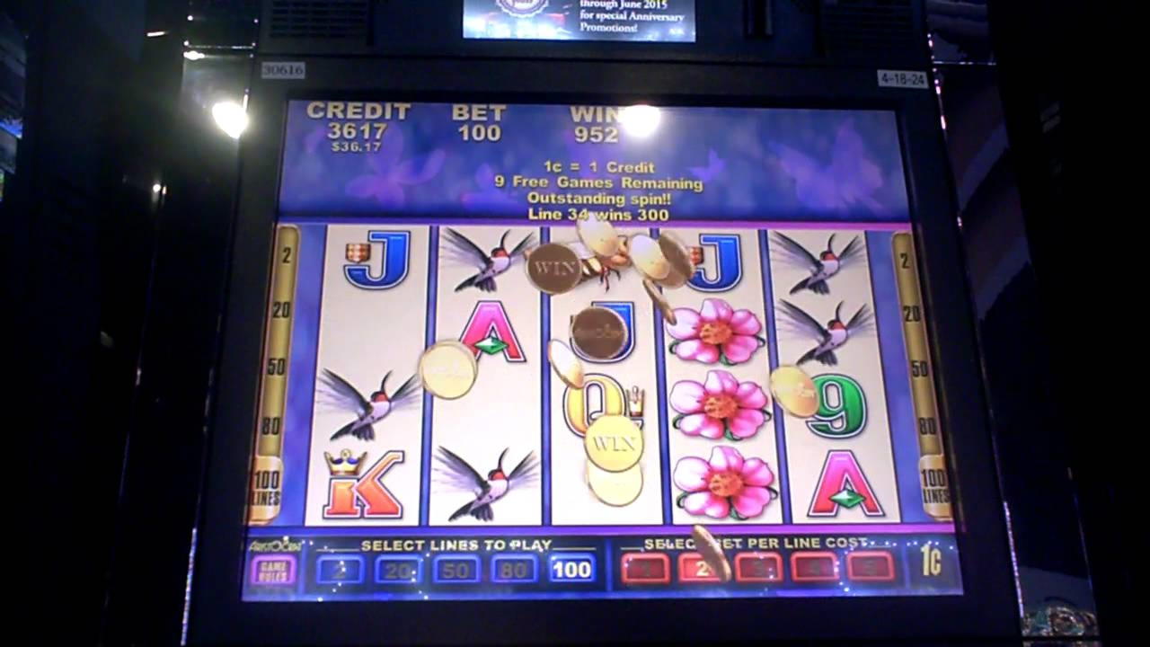 550% Matchbonus på YoYo Casino